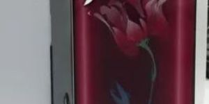 Domestic Atta Chakki