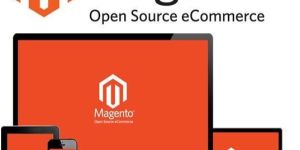 Magento Development Services