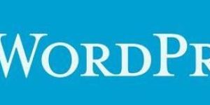 Wordpress Web Services