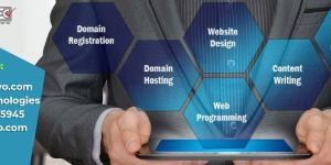 Web Design and Development