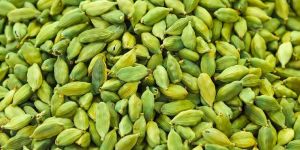Cardamom