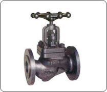 Globe Steam Stop Valve