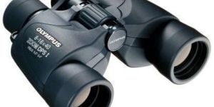 Olympus Binoculars