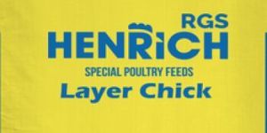 Layer Chicken Feed