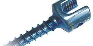 Sacral Screw