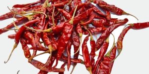 Dry Teja Red Chilli