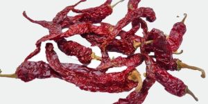 Red Dry chilli-Syngenta 2043