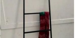 Iron Ladder
