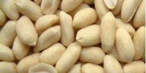 Groundnut Blanched
