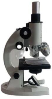 Compound Microscope