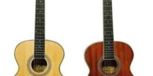 Acoustic Guitar