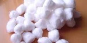 Absorbent Cotton