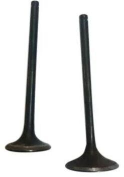 Honda Engine Valve