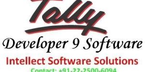 Tally Developer 9 Software