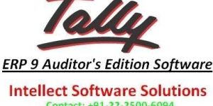 Tally ERP 9 Auditor Edition