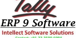 Tally ERP 9 Software