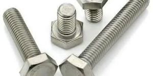 SS Hex Bolt