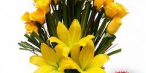 Yellow Roses