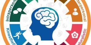 Multiple Intelligence Test