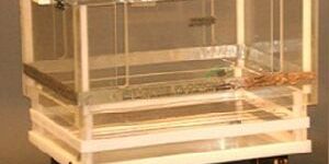 REVERSED FLOCKING CHAMBER