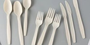 Biodegradable Spoon