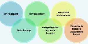 Annual Maintenance and Support - AMS