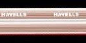 TRANSPARENT TWIN FLAT SPEAKER CABLES