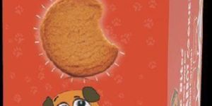 Milk and Carrot Cookies