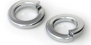 SS Spring Lock Washer