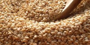 Sesame Seeds