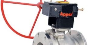 Two Piece Flange End Ball Valves