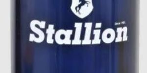 Zinc Silicate Primer