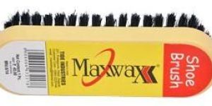 Shoe Brush