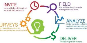 Online Market Research Services