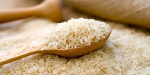 1121 White Sella Rice