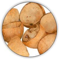 Raw Coconut Shell