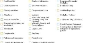 HR Manual Policy Formations