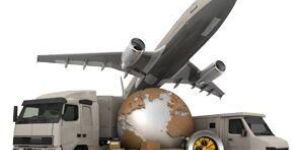 Courier Software Development