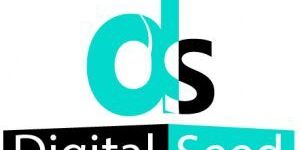 Social Media Advertising Services