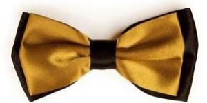 Double Layered Bow Tie
