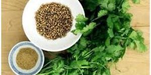 Coriander Seed