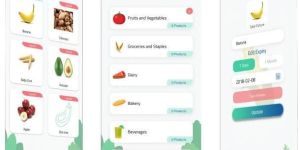 Ios Application Development