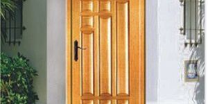 Engineered Wooden Panel Doors