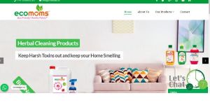 Web & Internet Services