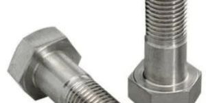 Stainless Steel Hex Bolt