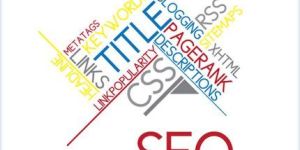 Search Engine Optimization Services