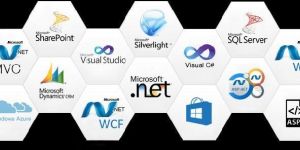 .NET Development Services