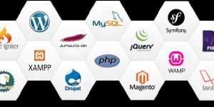 Php Development Services