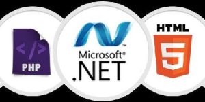 Web Development Services