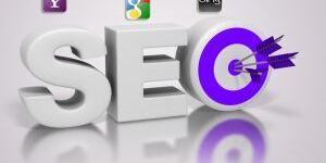 Search Engine Optimization Service